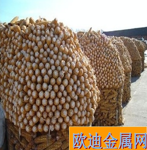低售 圈玉米铁丝网 电焊网