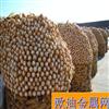 厂家直销 镀锌电焊网/圈玉米网