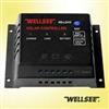 WELLSEE WS-L2415 12V/24V 6A-60A lighting controlle